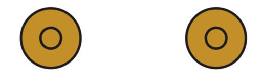 mexican hat birds eyw view